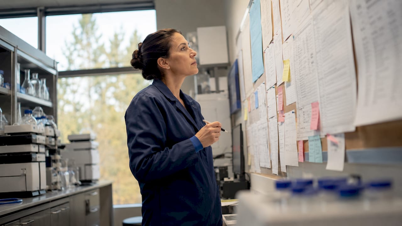 Scientist verifying comparator substance documents